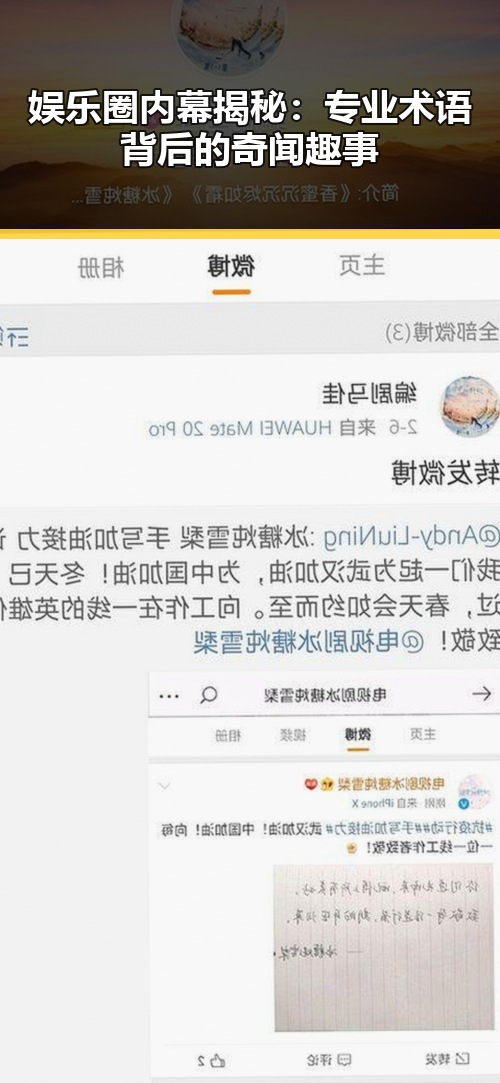 娱乐圈内幕揭秘：专业术语背后的奇闻趣事