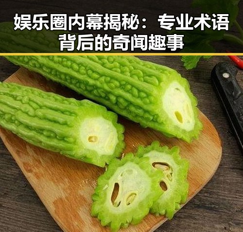 娱乐圈内幕揭秘：专业术语背后的奇闻趣事