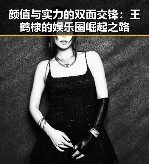 颜值与实力的双面交锋：王鹤棣的娱乐圈崛起之路