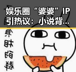 娱乐圈“婆婆”IP引热议：小说背后隐藏的“秘密”
