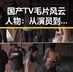 国产TV毛片风云人物:从演员到行业变革者的动向